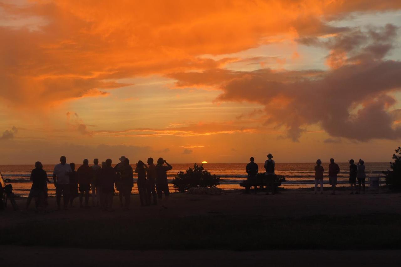 Aruba Sunset Beach Studios Palm Beach Exteriér fotografie