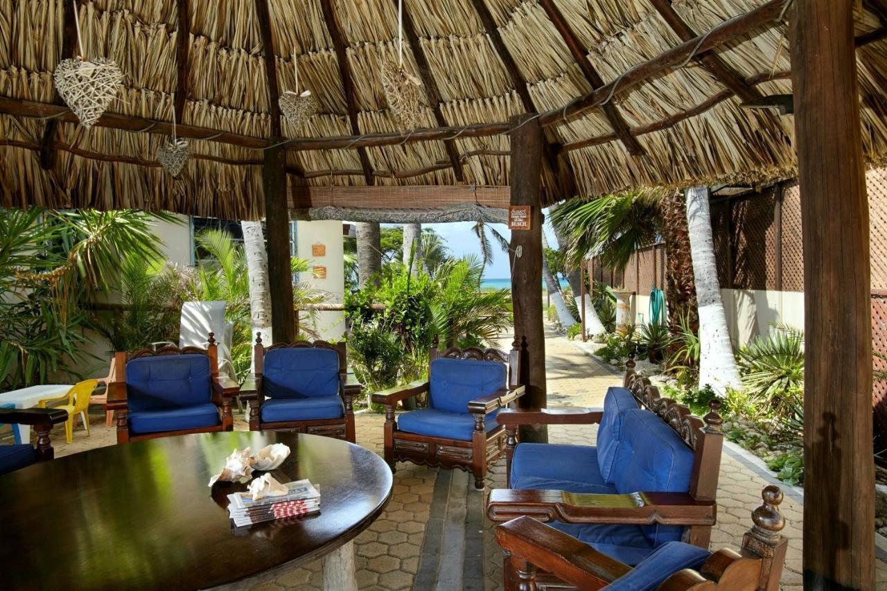 Aruba Sunset Beach Studios Palm Beach Exteriér fotografie