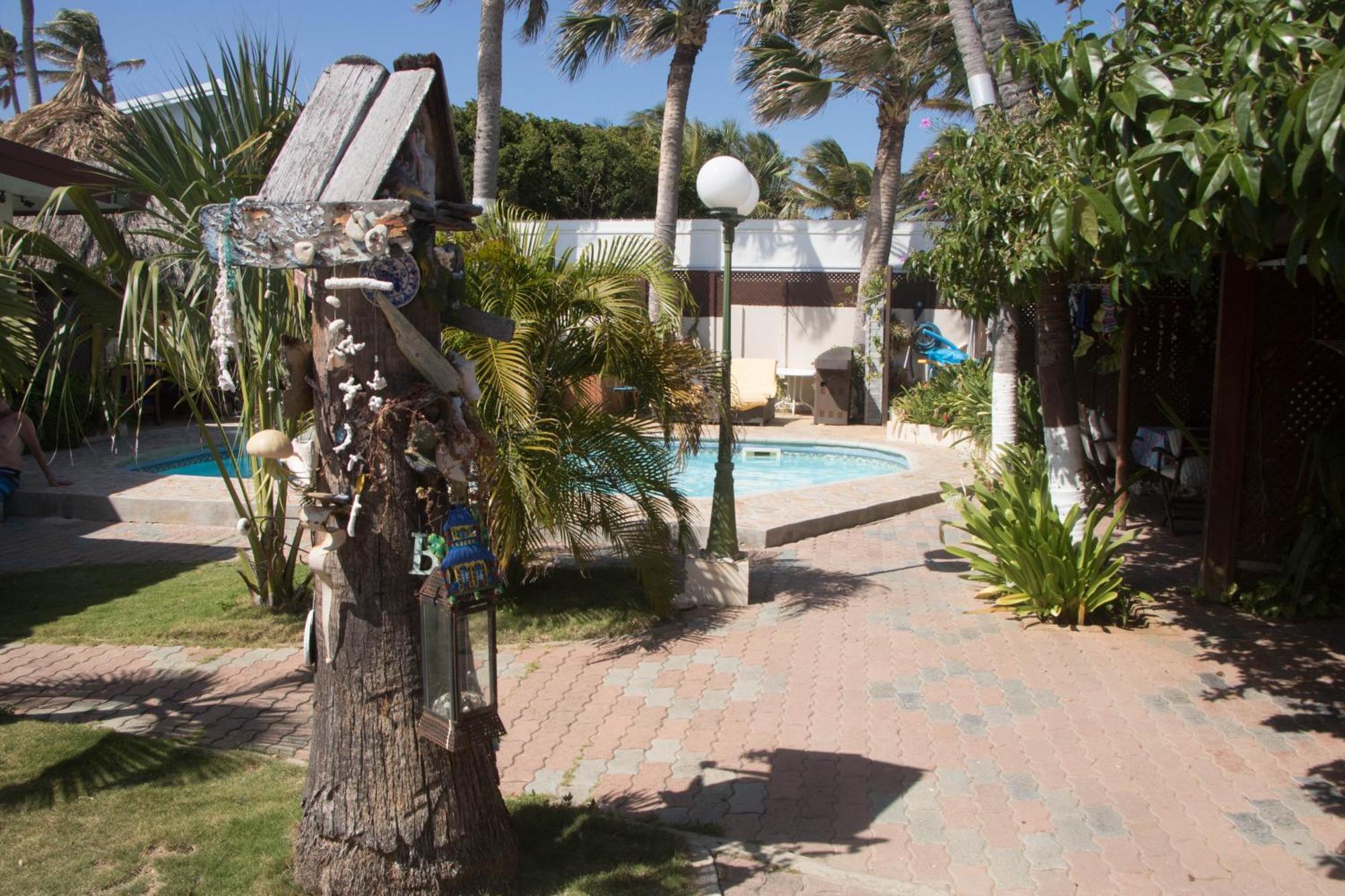 Aruba Sunset Beach Studios Palm Beach Exteriér fotografie